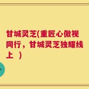 甘城灵芝(重匠心傲视同行，甘城灵芝独耀线上  )