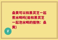桑黄可以和黑灵芝一起煮水喝吗(能和黑灵芝一起泡水喝的植物：桑黄)