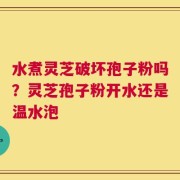 水煮灵芝破坏孢子粉吗？灵芝孢子粉开水还是温水泡