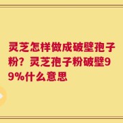 灵芝怎样做成破壁孢子粉？灵芝孢子粉破壁99%什么意思