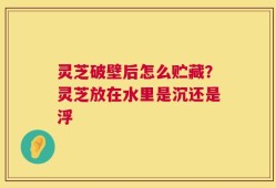 灵芝破壁后怎么贮藏？灵芝放在水里是沉还是浮