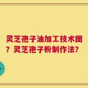 灵芝孢子油加工技术图？灵芝孢子粉制作法？