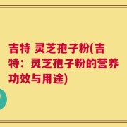 吉特 灵芝孢子粉(吉特：灵芝孢子粉的营养功效与用途)