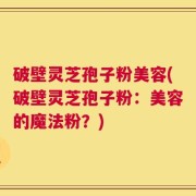 破壁灵芝孢子粉美容(破壁灵芝孢子粉：美容的魔法粉？)