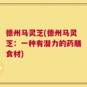 德州马灵芝(德州马灵芝：一种有潜力的药膳食材)