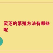 灵芝的繁殖方法有哪些呢