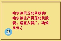 哈尔滨灵芝北芪胶囊(哈尔滨生产灵芝北芪胶囊，适宜人群广，功效多元.)