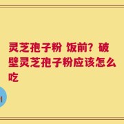 灵芝孢子粉 饭前？破壁灵芝孢子粉应该怎么吃