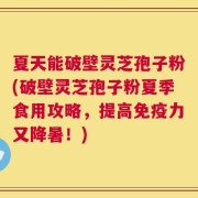 夏天能破壁灵芝孢子粉(破壁灵芝孢子粉夏季食用攻略，提高免疫力又降暑！)