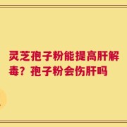 灵芝孢子粉能提高肝解毒？孢子粉会伤肝吗