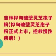 吉林桦甸破壁灵芝孢子粉(桦甸破壁灵芝孢子粉正式上市，拯救慢性疾病！)