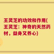 王灵芝的功效和作用(王灵芝：神奇的天然药材，益身又养心)