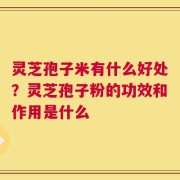 灵芝孢子米有什么好处？灵芝孢子粉的功效和作用是什么