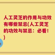 人工灵芝的作用与功效有哪些禁忌(人工灵芝的功效与禁忌：必看！)