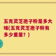 五克灵芝孢子粉是多大堆(五克灵芝孢子粉有多少重量？)