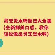 灵芝煲水鸭做法大全集(全新鲜美口感，教你轻松做出灵芝煲水鸭)