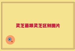 灵芝菌跟灵芝区别图片