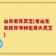 山农老苏灵芝(老山东农民苏爷种出奇大灵芝)