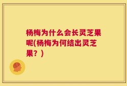 杨梅为什么会长灵芝果呢(杨梅为何结出灵芝果？)