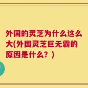 外国的灵芝为什么这么大(外国灵芝巨无霸的原因是什么？)