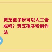 灵芝孢子粉可以人工合成吗？灵芝孢子粉制作法