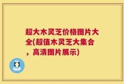 超大木灵芝价格图片大全(超值木灵芝大集合，高清图片展示)