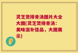 灵芝煲排骨汤图片大全大图(灵芝煲排骨汤：美味滋补佳品，大图展示)
