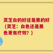 灵芝白的好还是黑的好 (灵芝：白色还是黑色更有疗效？)
