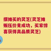摆摊买的灵芝(灵芝摊贩压价竟成功，买家惊喜获得高品质灵芝)