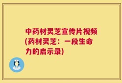 中药材灵芝宣传片视频(药材灵芝：一段生命力的启示录)