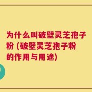 为什么叫破壁灵芝孢子粉 (破壁灵芝孢子粉的作用与用途)