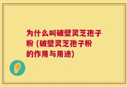 为什么叫破壁灵芝孢子粉 (破壁灵芝孢子粉的作用与用途)