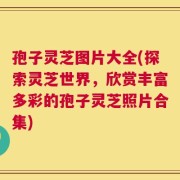 孢子灵芝图片大全(探索灵芝世界，欣赏丰富多彩的孢子灵芝照片合集)