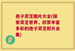 孢子灵芝图片大全(探索灵芝世界，欣赏丰富多彩的孢子灵芝照片合集)