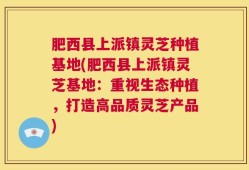肥西县上派镇灵芝种植基地(肥西县上派镇灵芝基地：重视生态种植，打造高品质灵芝产品)