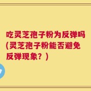 吃灵芝孢子粉为反弹吗(灵芝孢子粉能否避免反弹现象？)
