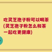 吃灵芝孢子粉可以喝茶(灵芝孢子粉怎么和茶一起吃更健康)