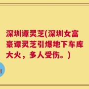 深圳谭灵芝(深圳女富豪谭灵芝引爆地下车库大火，多人受伤。)