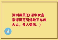 深圳谭灵芝(深圳女富豪谭灵芝引爆地下车库大火，多人受伤。)