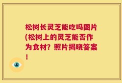 松树长灵芝能吃吗图片(松树上的灵芝能否作为食材？照片揭晓答案！