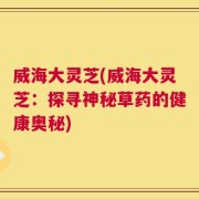 威海大灵芝(威海大灵芝：探寻神秘草药的健康奥秘)