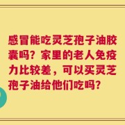 感冒能吃灵芝孢子油胶囊吗？家里的老人免疫力比较差，可以买灵芝孢子油给他们吃吗？