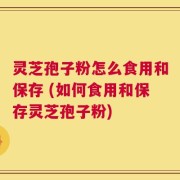 灵芝孢子粉怎么食用和保存 (如何食用和保存灵芝孢子粉)