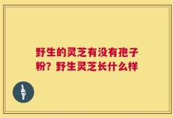 野生的灵芝有没有孢子粉？野生灵芝长什么样