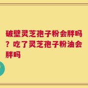 破壁灵芝孢子粉会胖吗？吃了灵芝孢子粉油会胖吗