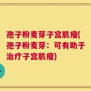 孢子粉麦芽子宫肌瘤(孢子粉麦芽：可有助于治疗子宫肌瘤)