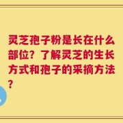 灵芝孢子粉是长在什么部位？了解灵芝的生长方式和孢子的采摘方法？
