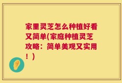 家里灵芝怎么种植好看又简单(家庭种植灵芝攻略：简单美观又实用！)
