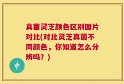 真菌灵芝颜色区别图片对比(对比灵芝真菌不同颜色，你知道怎么分辨吗？)
