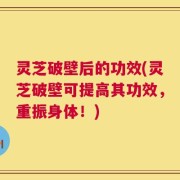 灵芝破壁后的功效(灵芝破壁可提高其功效，重振身体！)